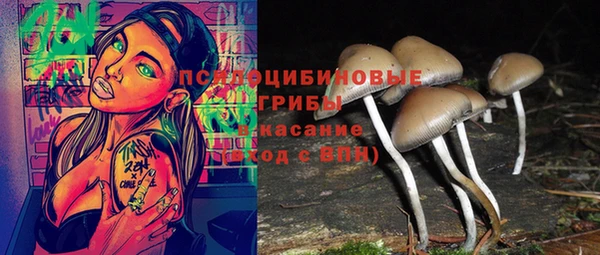кристаллы Абаза