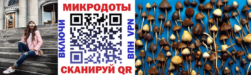 Галлюциногенные грибы мицелий  Горячеводский 